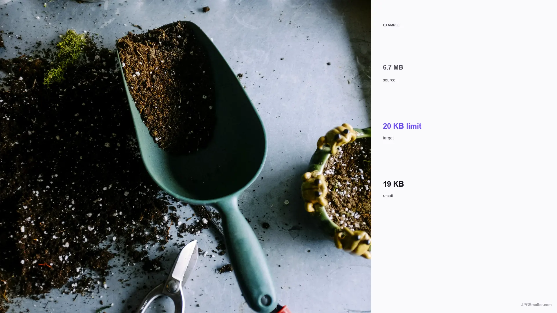Example of compressing a plant photo from 6.7 MB toward a 20 KB JPG limit, result 19 KB