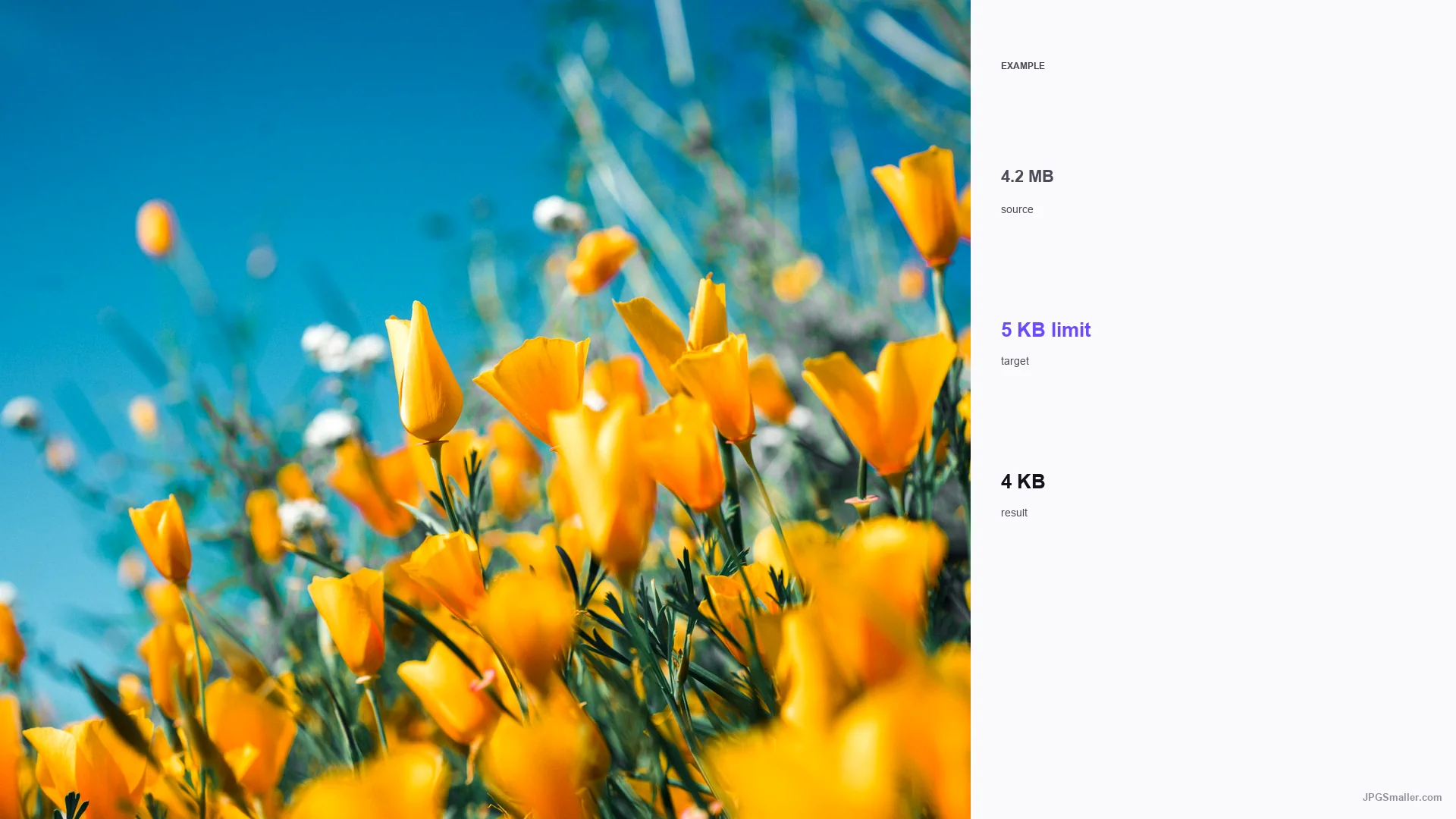 Example of compressing a flower photo from 4.2 MB toward a 5 KB JPG limit, result 4 KB