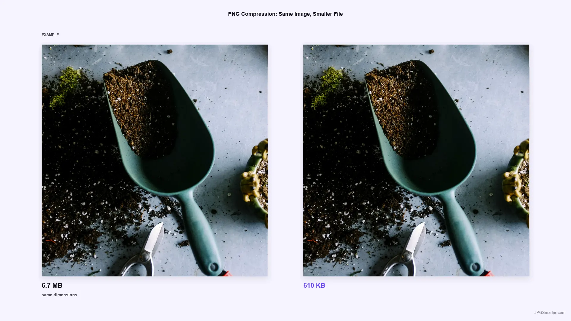 Compression example showing the same plant photo reduced from 6.7 MB to 610 KB at the same dimensions