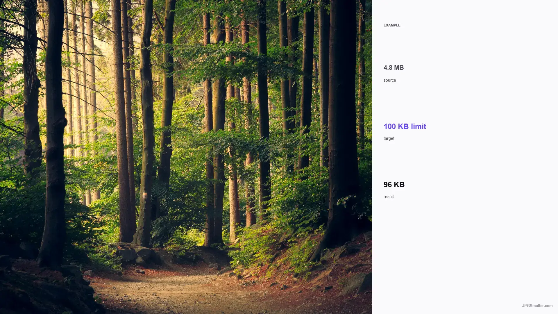 Example of compressing a forest photo from 4.8 MB toward a 100 KB WebP limit, result 96 KB