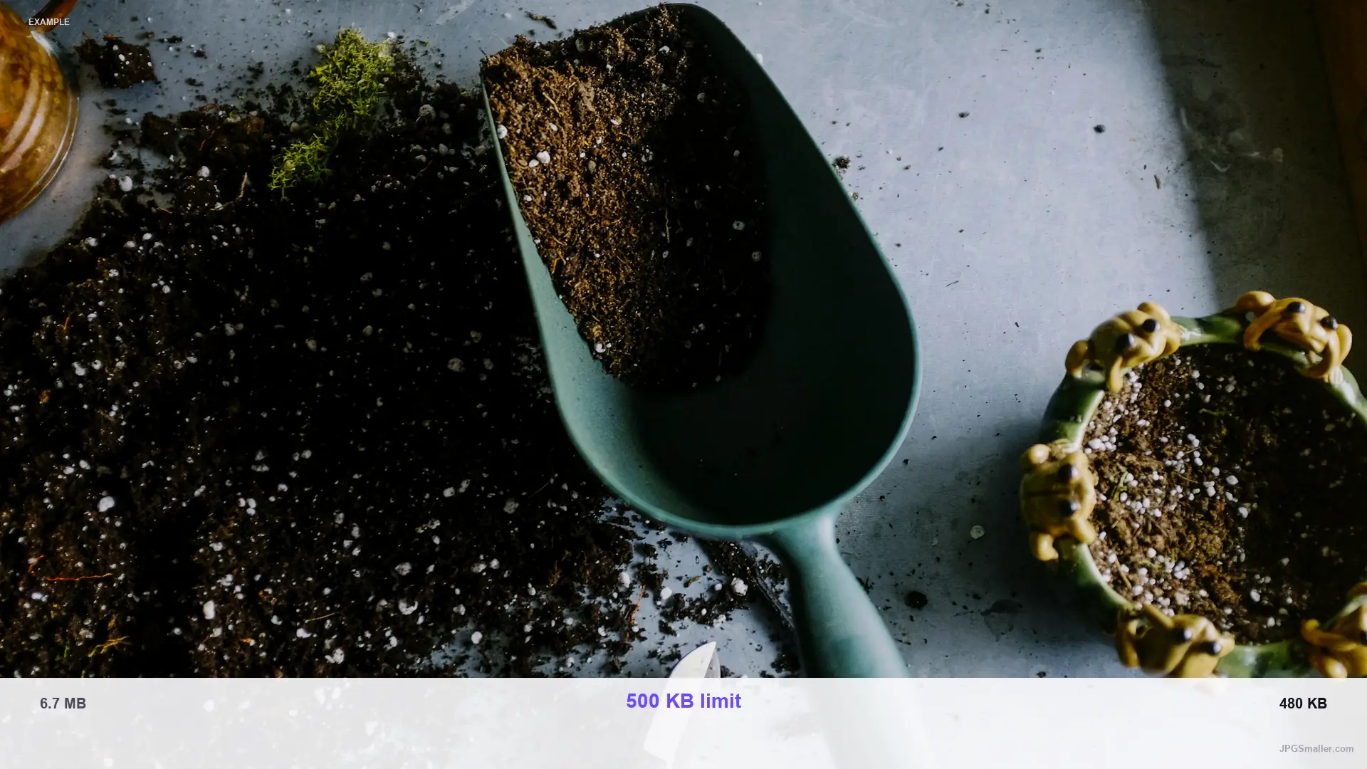 Example of compressing a plant photo from 6.7 MB toward a 500 KB WebP limit, result 480 KB