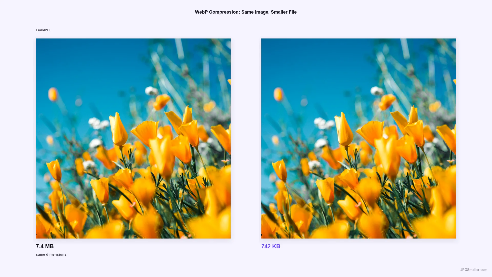 Compression example showing the same flower photo reduced from 7.4 MB to 742 KB at the same dimensions