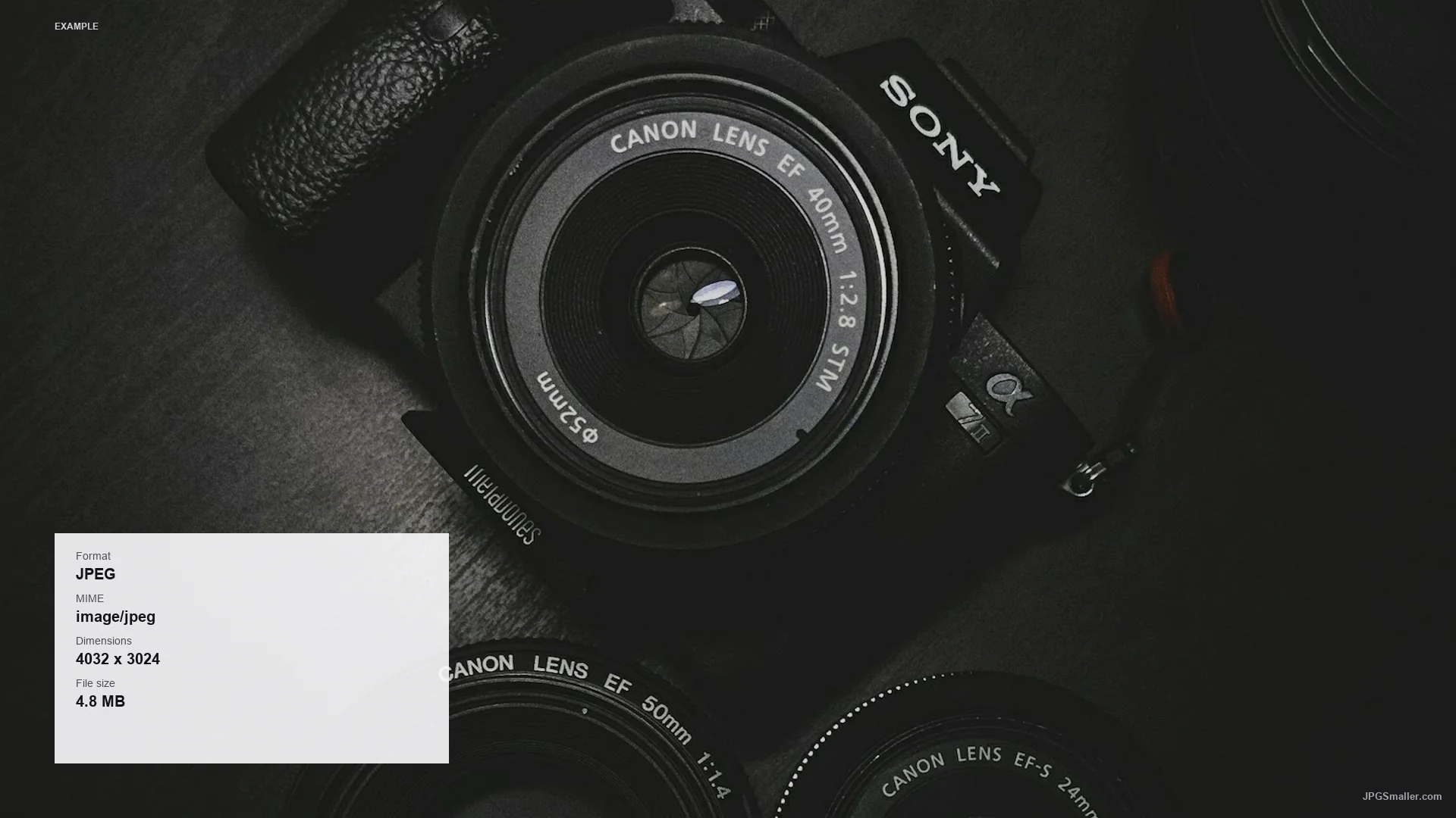 MIME type inspection example on a camera photograph labeled JPEG, image/jpeg, 4032 by 3024, and 4.8 MB