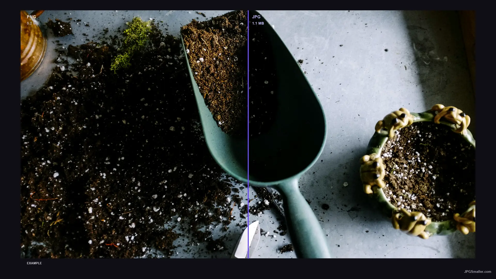 Format comparison showing the same plant image as PNG (5.2 MB) and JPG (1.1 MB)