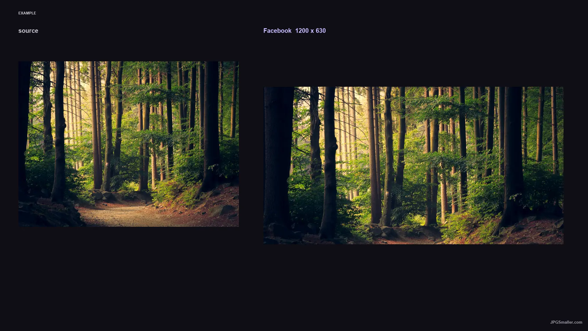 Facebook size example placing a forest photograph into a 1200 by 630 frame
