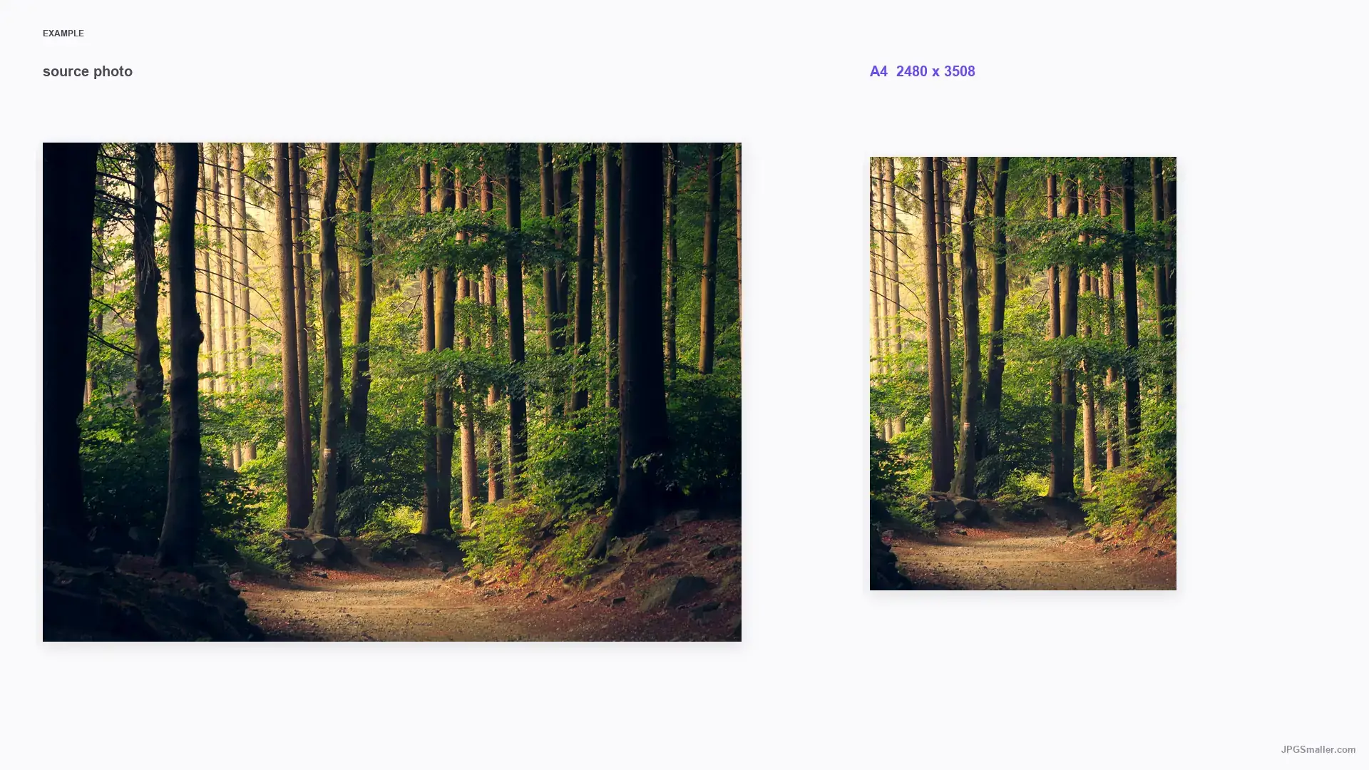 A4 resize example showing a landscape photograph beside a 2480 by 3508 A4 portrait frame
