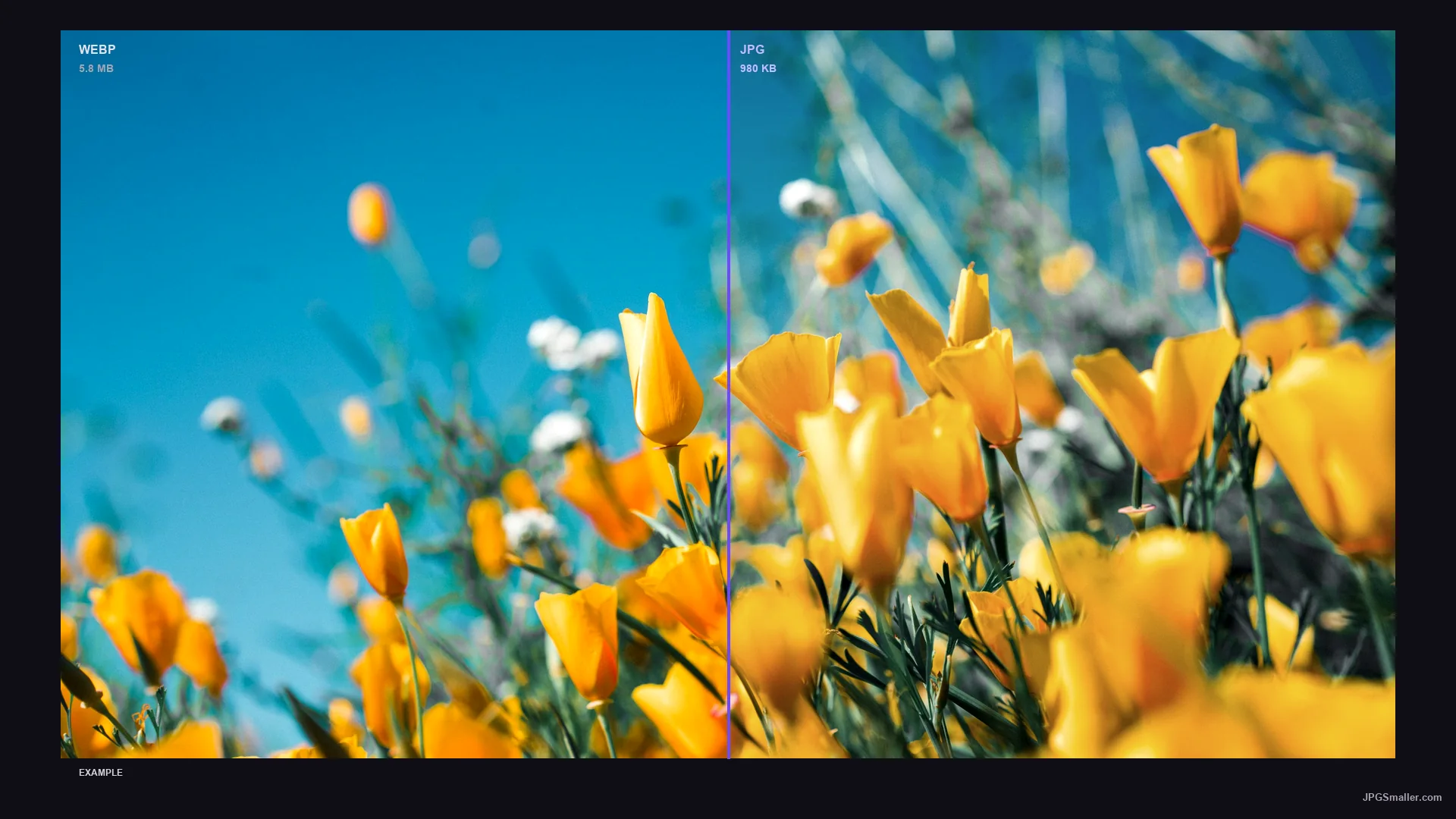 Format comparison showing the same flower image as WEBP (5.8 MB) and JPG (980 KB)